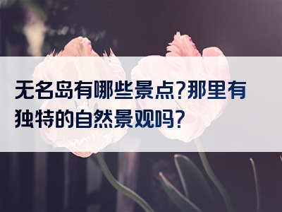 无名岛有哪些景点？那里有独特的自然景观吗？