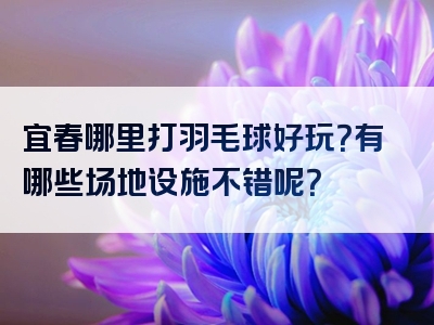 宜春哪里打羽毛球好玩？有哪些场地设施不错呢？