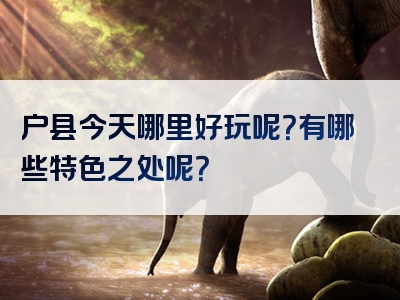 户县今天哪里好玩呢？有哪些特色之处呢？