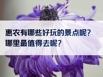 惠农有哪些好玩的景点呢？哪里最值得去呢？