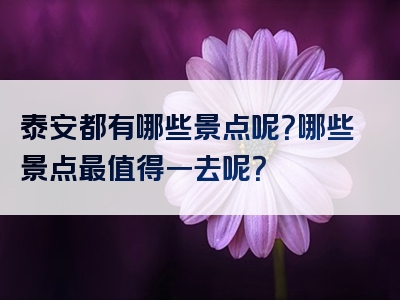 泰安都有哪些景点呢？哪些景点最值得一去呢？