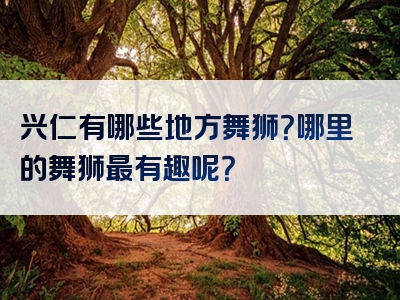 兴仁有哪些地方舞狮？哪里的舞狮最有趣呢？