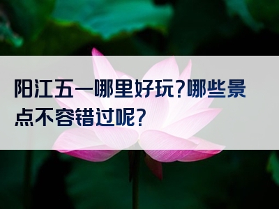 阳江五一哪里好玩？哪些景点不容错过呢？