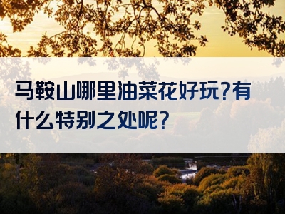 马鞍山哪里油菜花好玩？有什么特别之处呢？