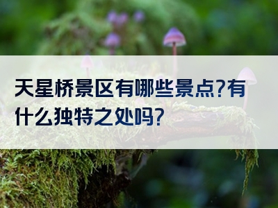 天星桥景区有哪些景点？有什么独特之处吗？
