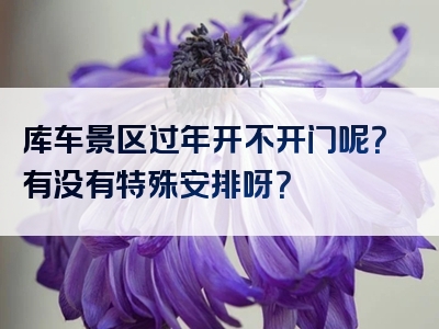库车景区过年开不开门呢？有没有特殊安排呀？