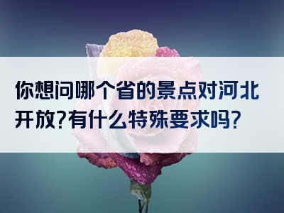 你想问哪个省的景点对河北开放？有什么特殊要求吗？