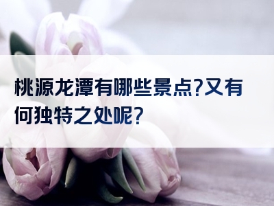 桃源龙潭有哪些景点？又有何独特之处呢？