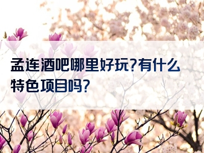 孟连酒吧哪里好玩？有什么特色项目吗？