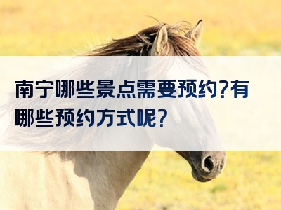 南宁哪些景点需要预约？有哪些预约方式呢？