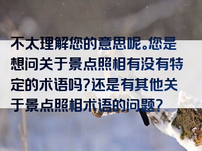 不太理解您的意思呢。您是想问关于景点照相有没有特定的术语吗？还是有其他关于景点照相术语的问题？