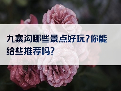 九寨沟哪些景点好玩？你能给些推荐吗？