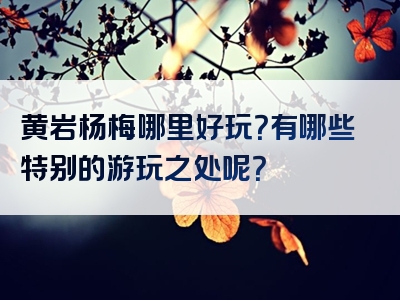 黄岩杨梅哪里好玩？有哪些特别的游玩之处呢？