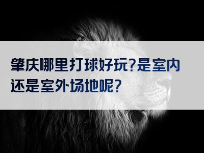 肇庆哪里打球好玩？是室内还是室外场地呢？