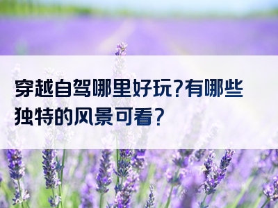 穿越自驾哪里好玩？有哪些独特的风景可看？