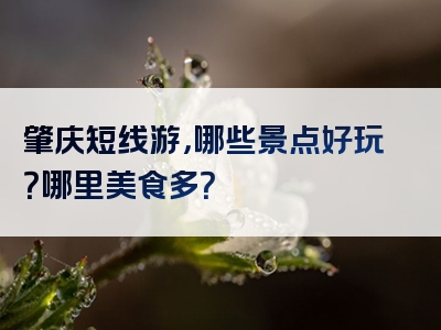 肇庆短线游，哪些景点好玩？哪里美食多？
