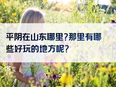 平阴在山东哪里？那里有哪些好玩的地方呢？