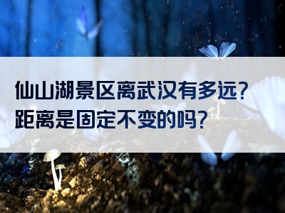 仙山湖景区离武汉有多远？距离是固定不变的吗？