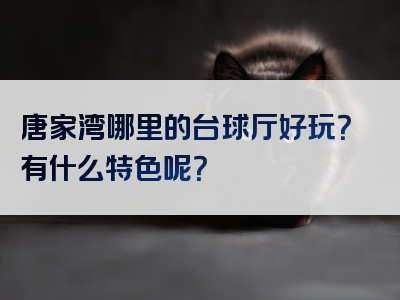 唐家湾哪里的台球厅好玩？有什么特色呢？