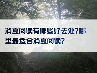 消夏阅读有哪些好去处？哪里最适合消夏阅读？