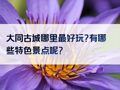 大同古城哪里最好玩？有哪些特色景点呢？