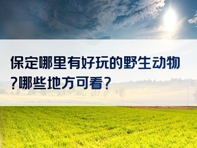 保定哪里有好玩的野生动物？哪些地方可看？