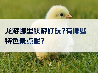 龙游哪里秋游好玩？有哪些特色景点呢？