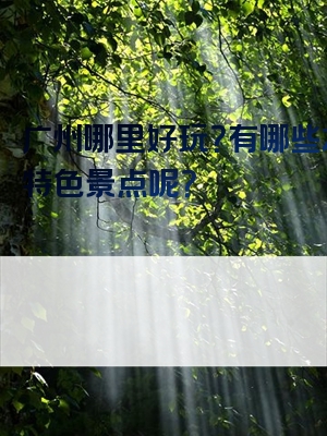 广州哪里好玩？有哪些本地特色景点呢？