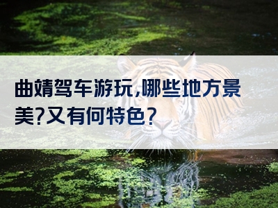 曲靖驾车游玩，哪些地方景美？又有何特色？