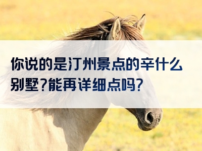 你说的是汀州景点的辛什么别墅？能再详细点吗？