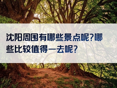 沈阳周围有哪些景点呢？哪些比较值得一去呢？