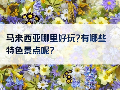 马来西亚哪里好玩？有哪些特色景点呢？