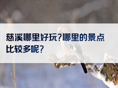 慈溪哪里好玩？哪里的景点比较多呢？
