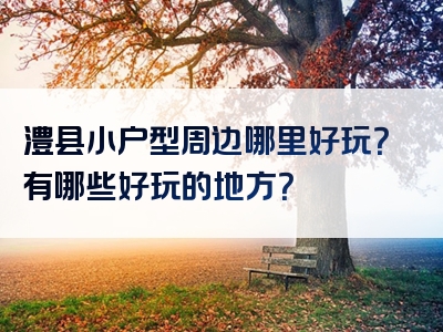 澧县小户型周边哪里好玩？有哪些好玩的地方？