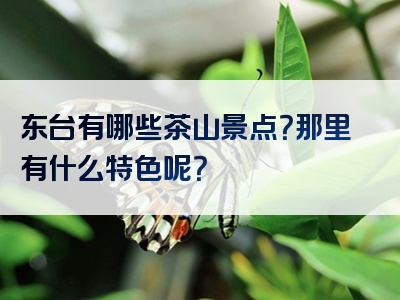 东台有哪些茶山景点？那里有什么特色呢？