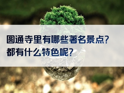圆通寺里有哪些著名景点？都有什么特色呢？