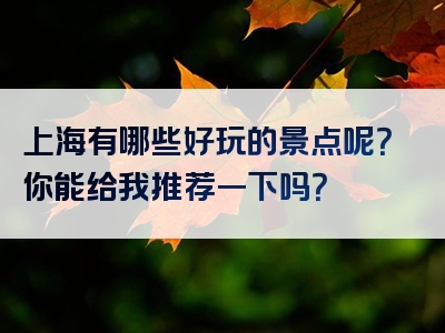 上海有哪些好玩的景点呢？你能给我推荐一下吗？