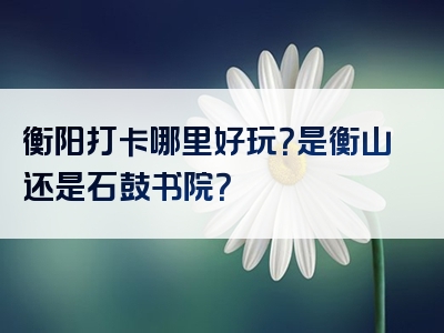 衡阳打卡哪里好玩？是衡山还是石鼓书院？