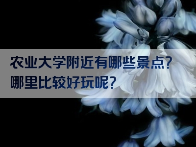 农业大学附近有哪些景点？哪里比较好玩呢？