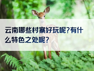 云南哪些村寨好玩呢？有什么特色之处呢？