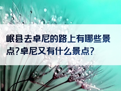 岷县去卓尼的路上有哪些景点？卓尼又有什么景点？