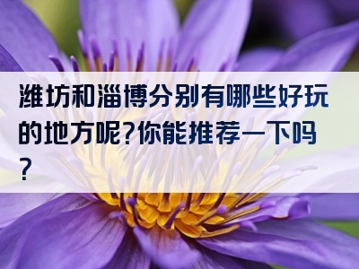 潍坊和淄博分别有哪些好玩的地方呢？你能推荐一下吗？