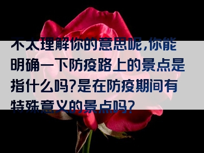 不太理解你的意思呢，你能明确一下防疫路上的景点是指什么吗？是在防疫期间有特殊意义的景点吗？