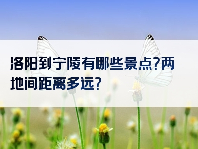 洛阳到宁陵有哪些景点？两地间距离多远？