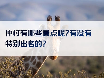 仲村有哪些景点呢？有没有特别出名的？