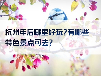 杭州年后哪里好玩？有哪些特色景点可去？