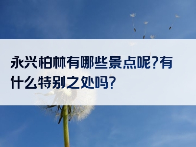 永兴柏林有哪些景点呢？有什么特别之处吗？