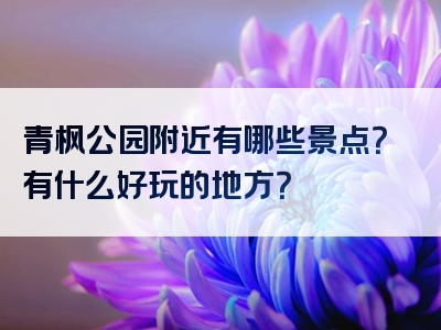青枫公园附近有哪些景点？有什么好玩的地方？