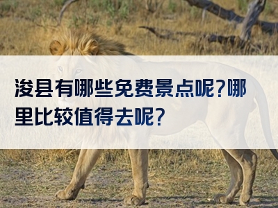 浚县有哪些免费景点呢？哪里比较值得去呢？