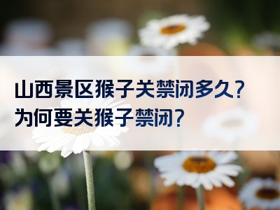 山西景区猴子关禁闭多久？为何要关猴子禁闭？